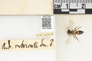 Media type: image;   Entomology 770569 Aspect: Labels